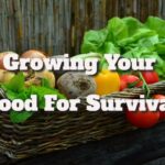 Growing Your Food for Survival – Tips and Practices