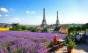 Best Time to Travel to France: Seasonal Insights and Tips