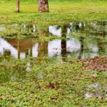Stormwater Drain Solutions for Wollongong’s Causes