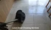 Grout Cleaners Near Longcross: Top Local Picks