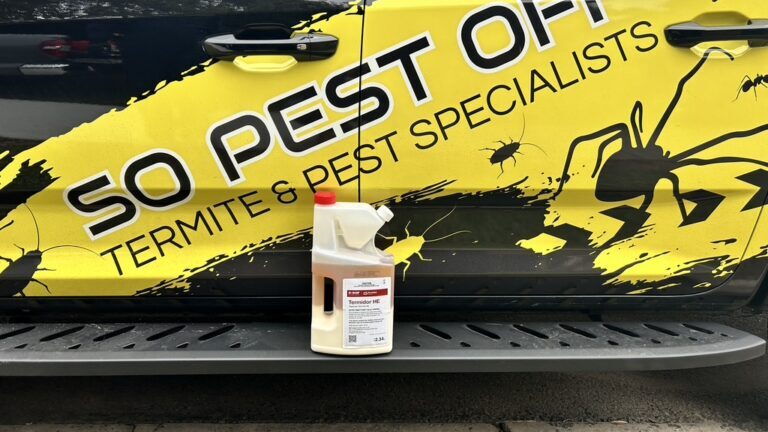 Termite Reticulation Costs and Maintenance Guide for Sydney