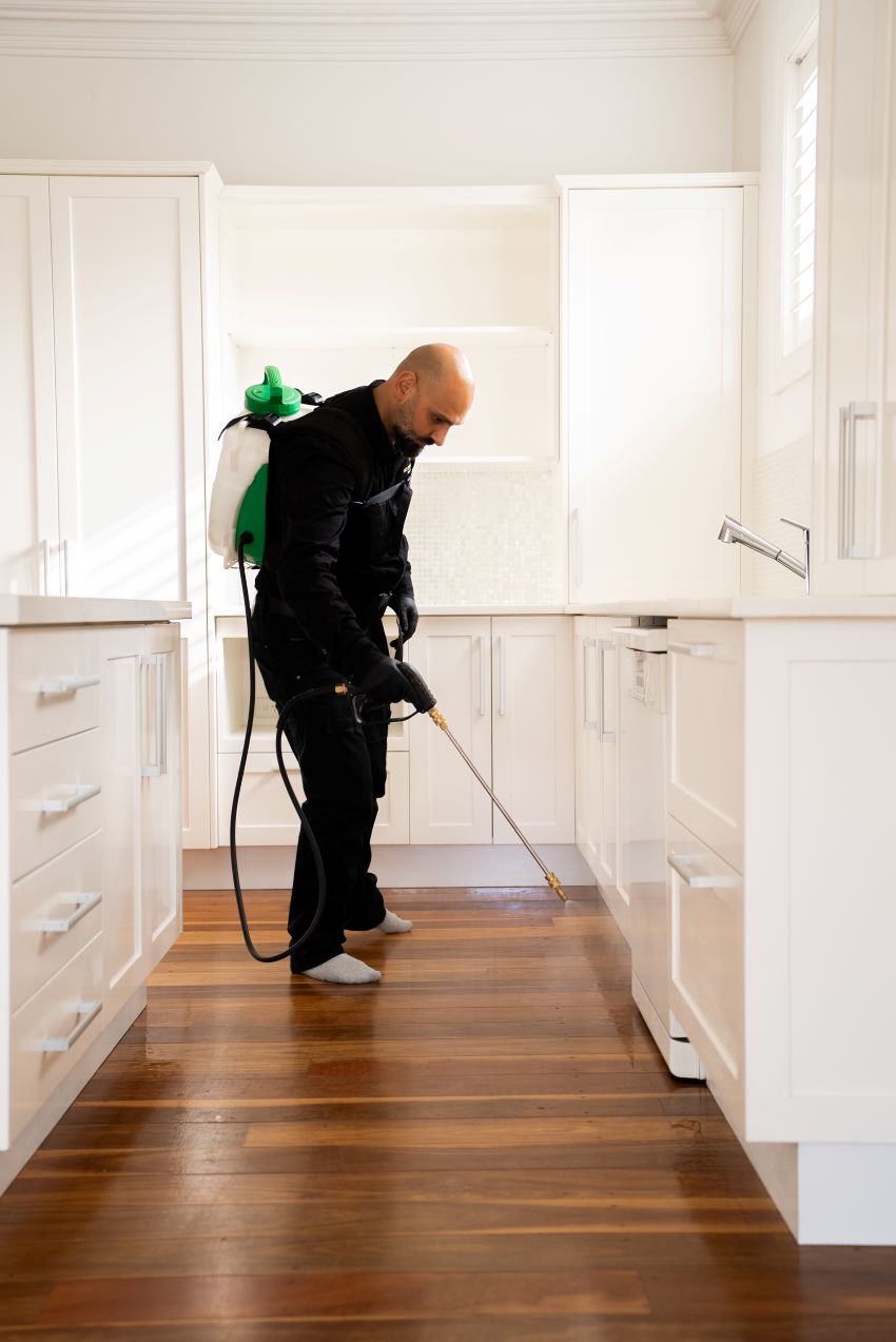 Pest Control Hills District So Pest Off