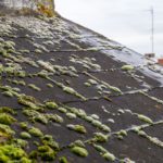 Slate Roof Cleaning Tips for Sydney Residents