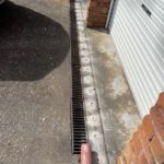 Termite Protection: Identify Your Home’s Coverage Options